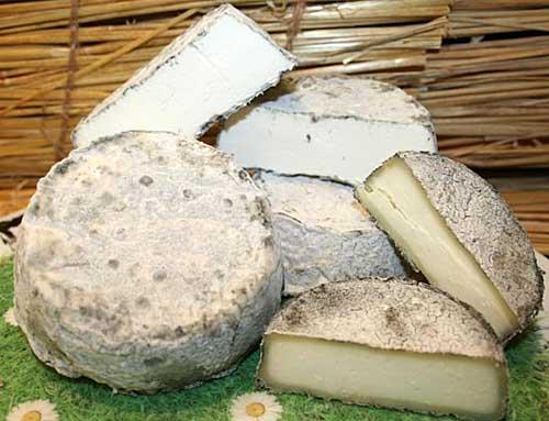 Val de Loire et ses cinq célèbres fromages