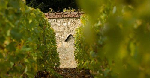 best French champagnes