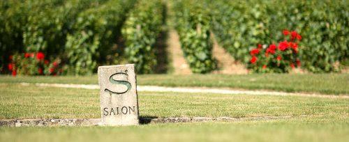 best French champagnes