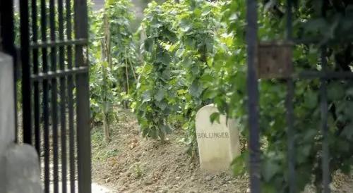 best French champagnes