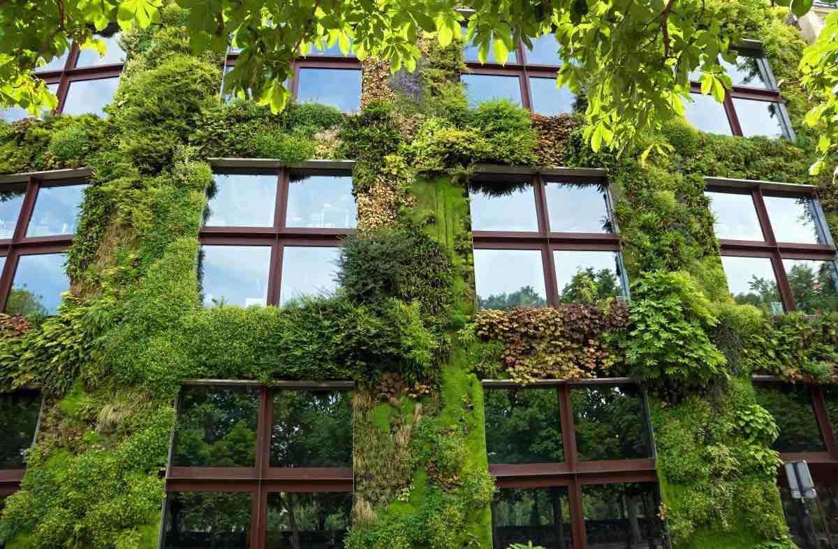 musées de paris branly