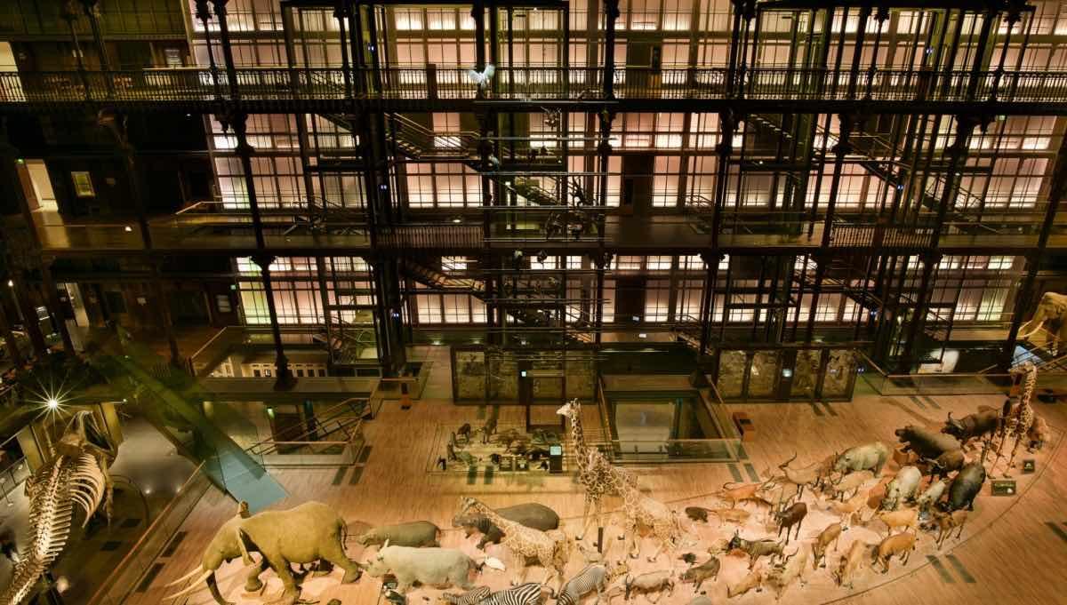 musées de paris galeria