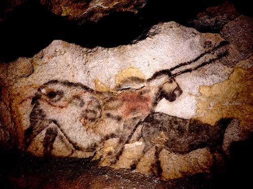 Lascaux. La Licorne. N. Aujoulat © MCC-CNP 