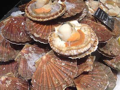 coquilles saint jacques