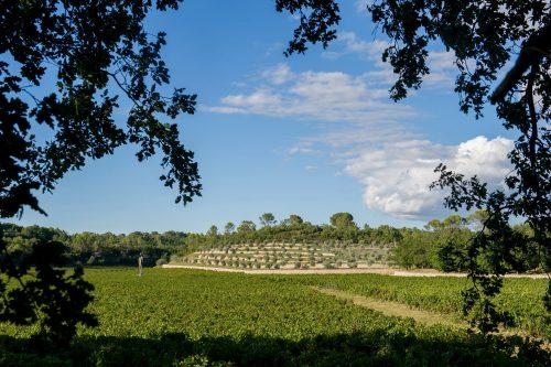 Musées d'art contemporain dans le sud de la France