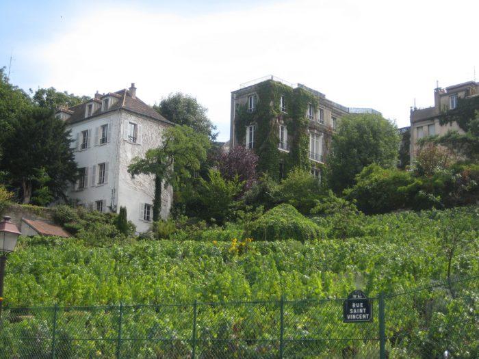 Les vignobles de Montmartre