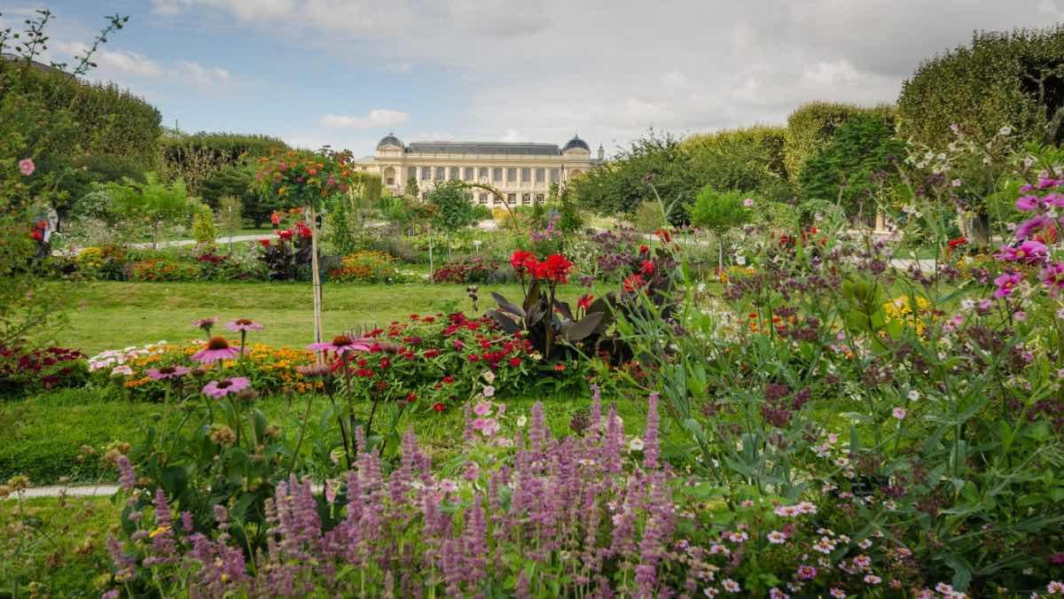 giardini delle piante a Parigi in settembre