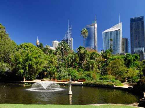 Jardin de Sydney