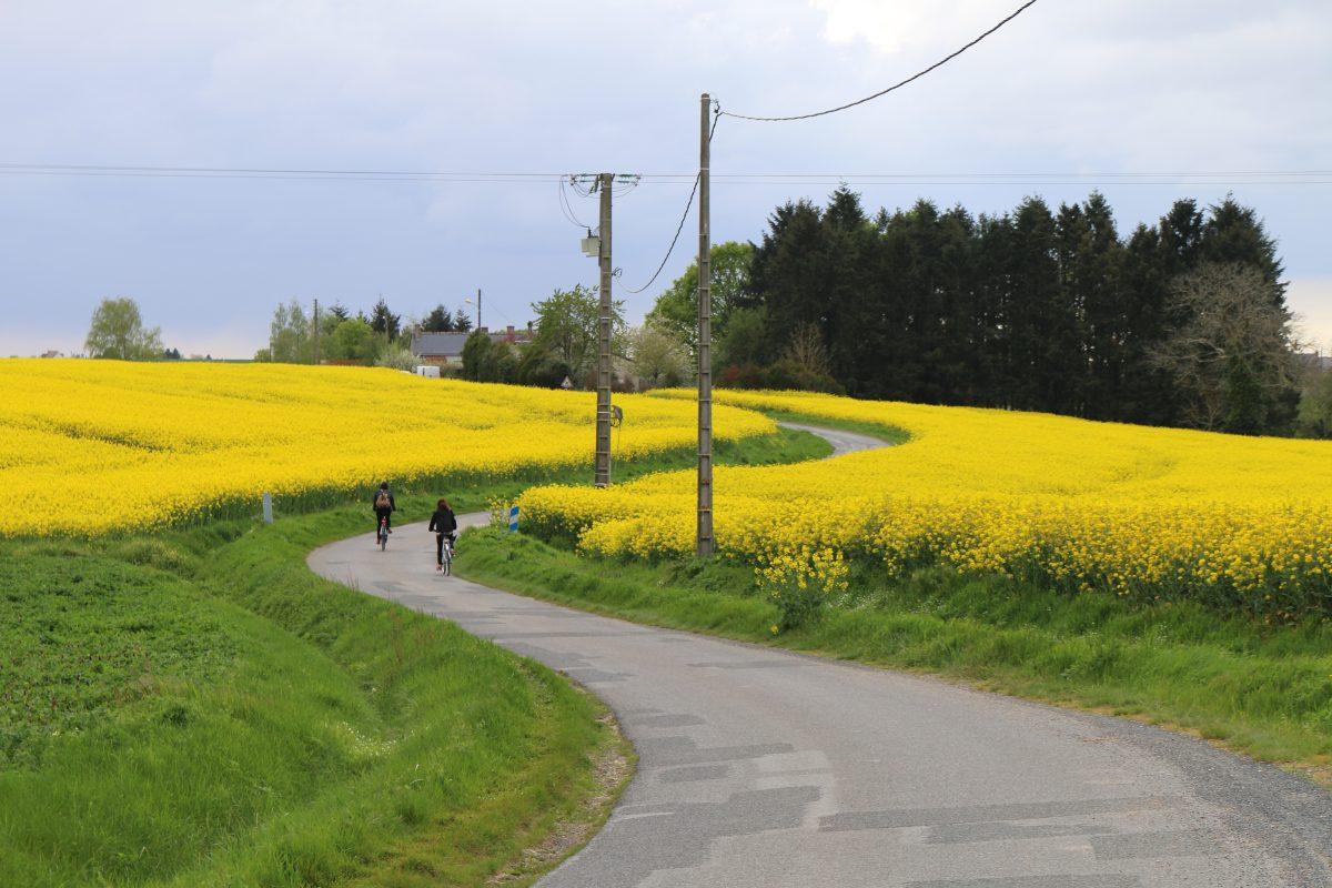 Voyage à vélo autoguidé dans la Vallée de la Loire
