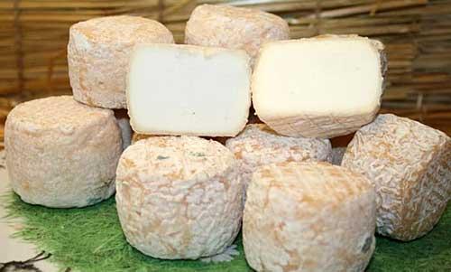 Crotin de Chavignol