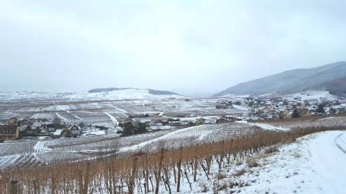 route des vins d'Alsace