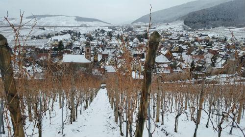 route des vins d'Alsace