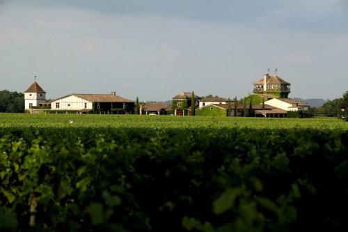Vignoble Château Haut Smith Lafitte