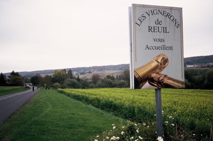 Les vignobles de la région