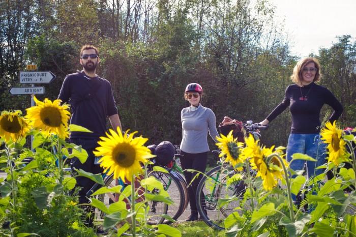 Champ de tournesols sur le chemin