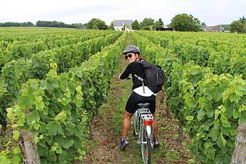 Vallée de la Loire à vélo