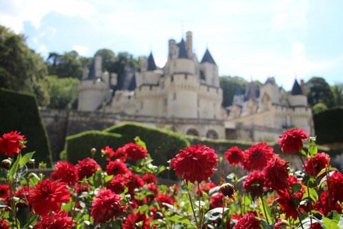 Vallée de la Loire