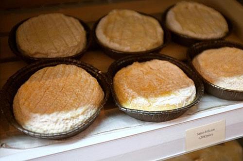 Délicieux fromage Saint Félicien
