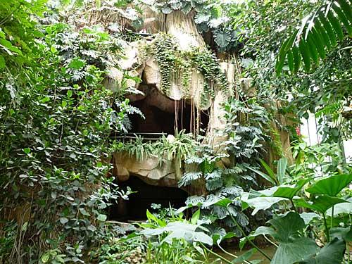 Serre de plantes tropicales
