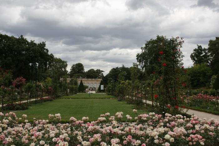 Les roseraies du Jardin de Bagatelle, à Paris