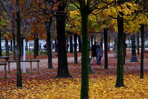paris en automne
