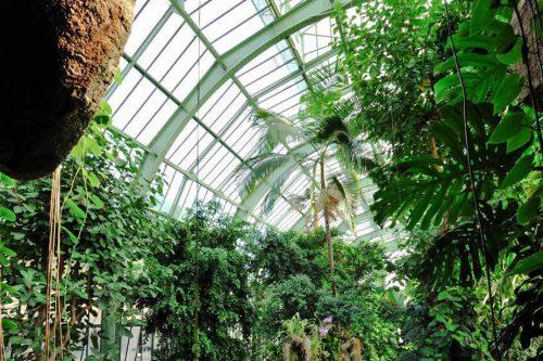 jardin des plantes