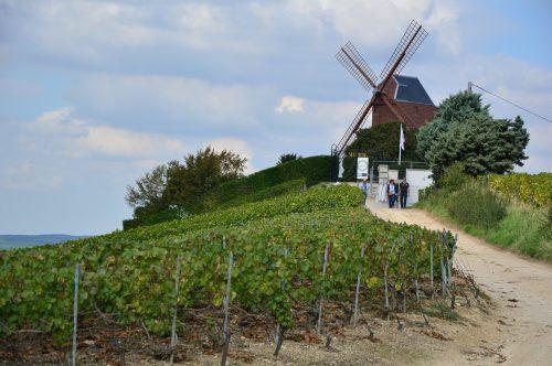 visite de la Champagne