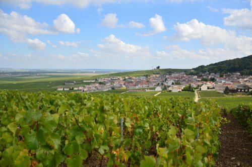 visite de la Champagne