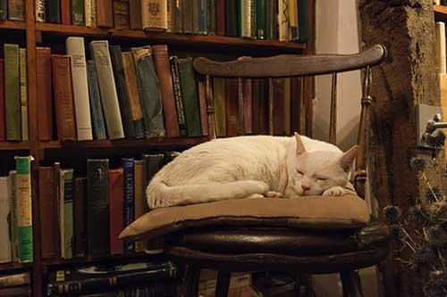 Shakespeare et Company