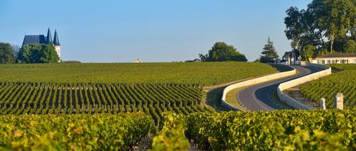 Qu'est-ce qu'un vin Grand Cru