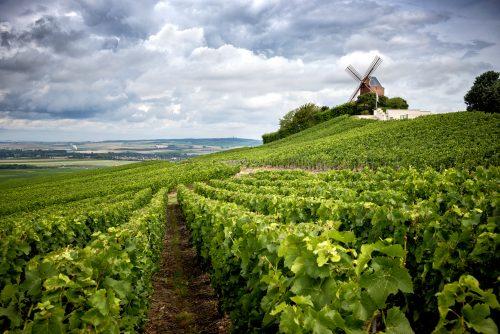 questions sur le champagne