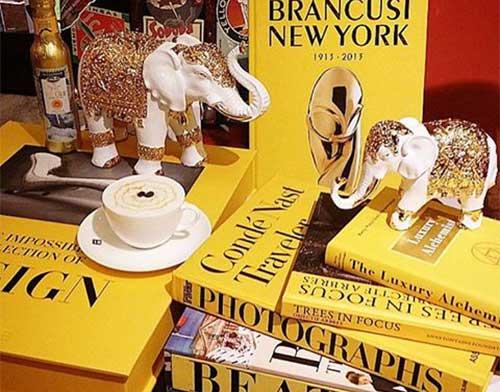 Les neuf meilleures librairies de Saint Germain