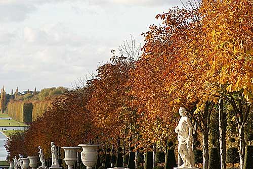 Les jardins de Versailles et les saisons