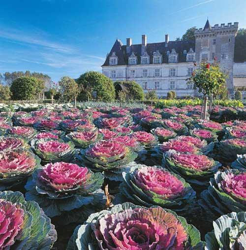 Le château de Villandry, dans la vallée de la Loire