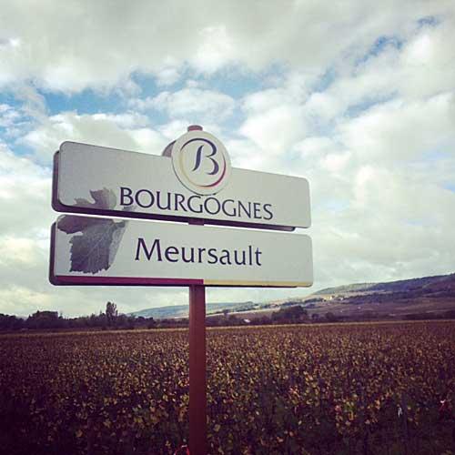 Bourgogne, vue par une sommelière