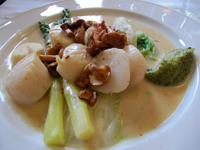 Plats d'hiver : coquille saint jacques