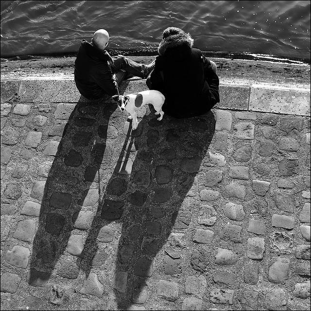 Paris et ses chiens