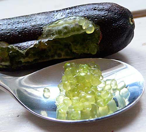 Paris : citron caviar, fruit chic