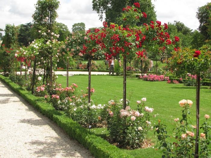 Les Jardins de Bagatelle : promenade idéale pour le printemps à Paris