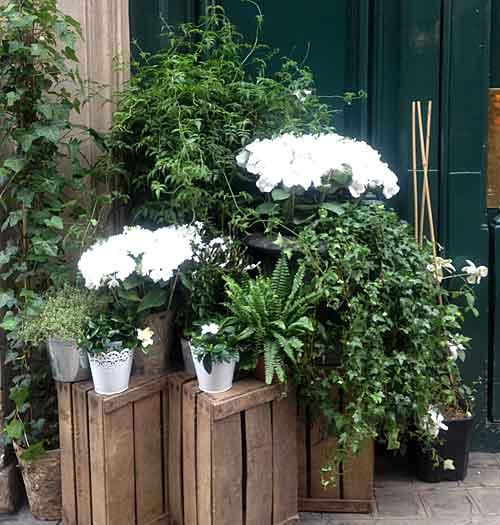 Fleurs dans le style Saint Germain