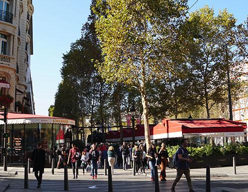 Restaurants ouverts toute la nuit à Paris