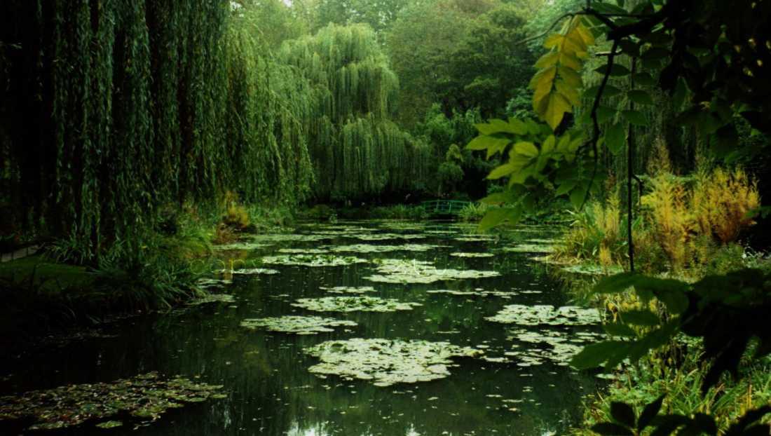 Monet's gardens in Giverny, near Paris.