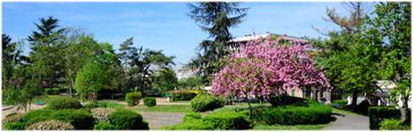 Bezons, Val-d'Oise, Île-de-France, France, espace vert