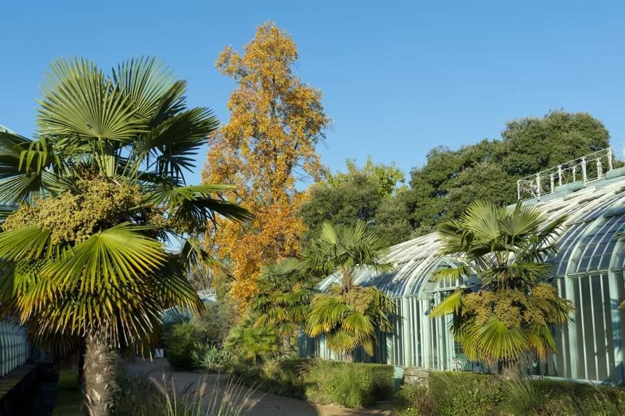 Le Jardin des Serres d'Auteuil