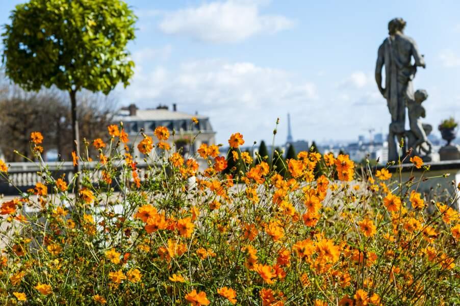 Le domaine national de Saint-Cloud